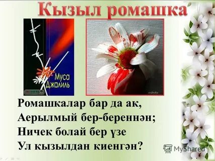 Муса джалиль стих ромашка