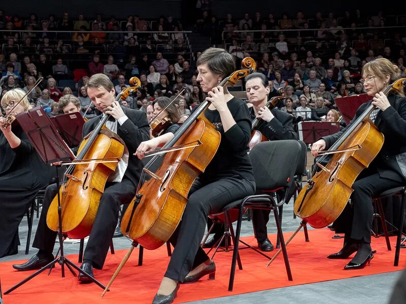 Neo classic orchestra. Оркестр классика Канторов. Санкт-Петербургский оркестр классика. Художественный руководитель национального симфонического оркестра.