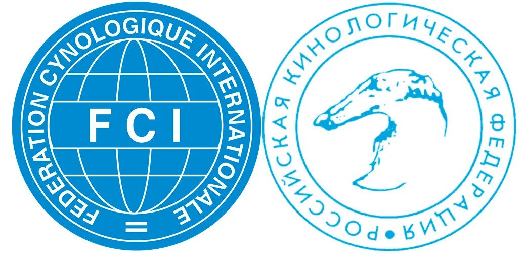 Ркф fci. Эмблема ркф. логотип ркф фци. международная кинологическая федерация (fci). российская кинологическая федерация логотип.