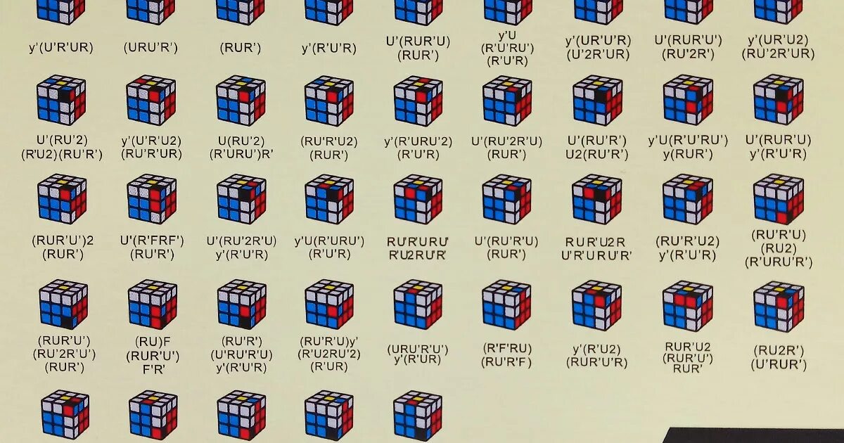 L algorithm