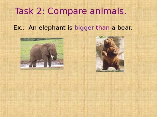 Compare animals. Формы прилагательного Elephants are big / bigger animals. Animals Comparison. Elephants are big/bigger animals. Elephants are big cats