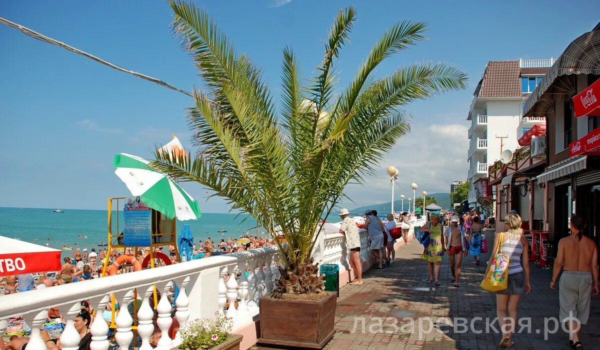 работа в лазаревском свежие вакансии