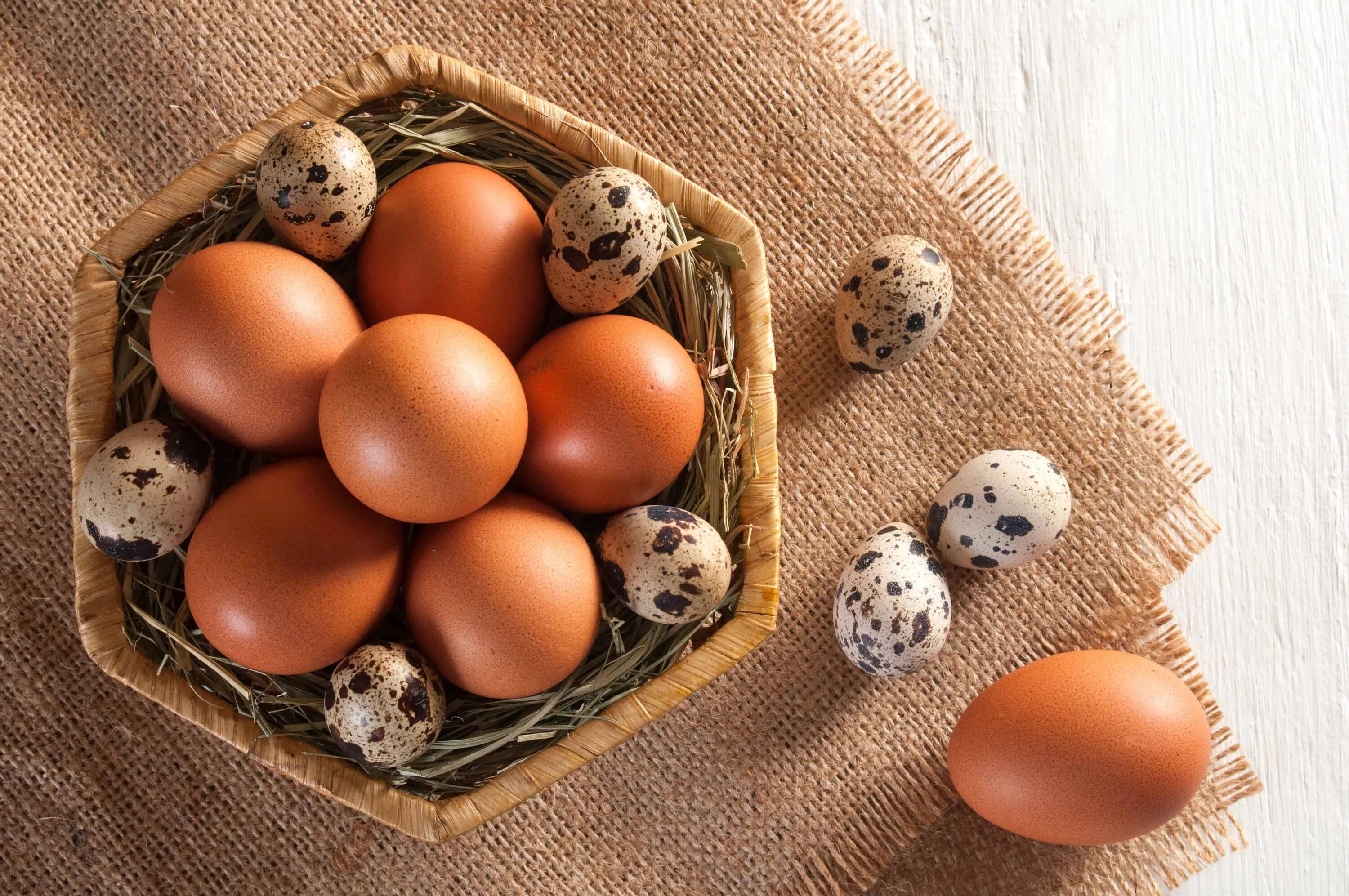 Куриные и перепелиные яйца. Яйцо для здоровья. Яйца в ячейках с цыплятами. Яйцо и цыпленок керамика.