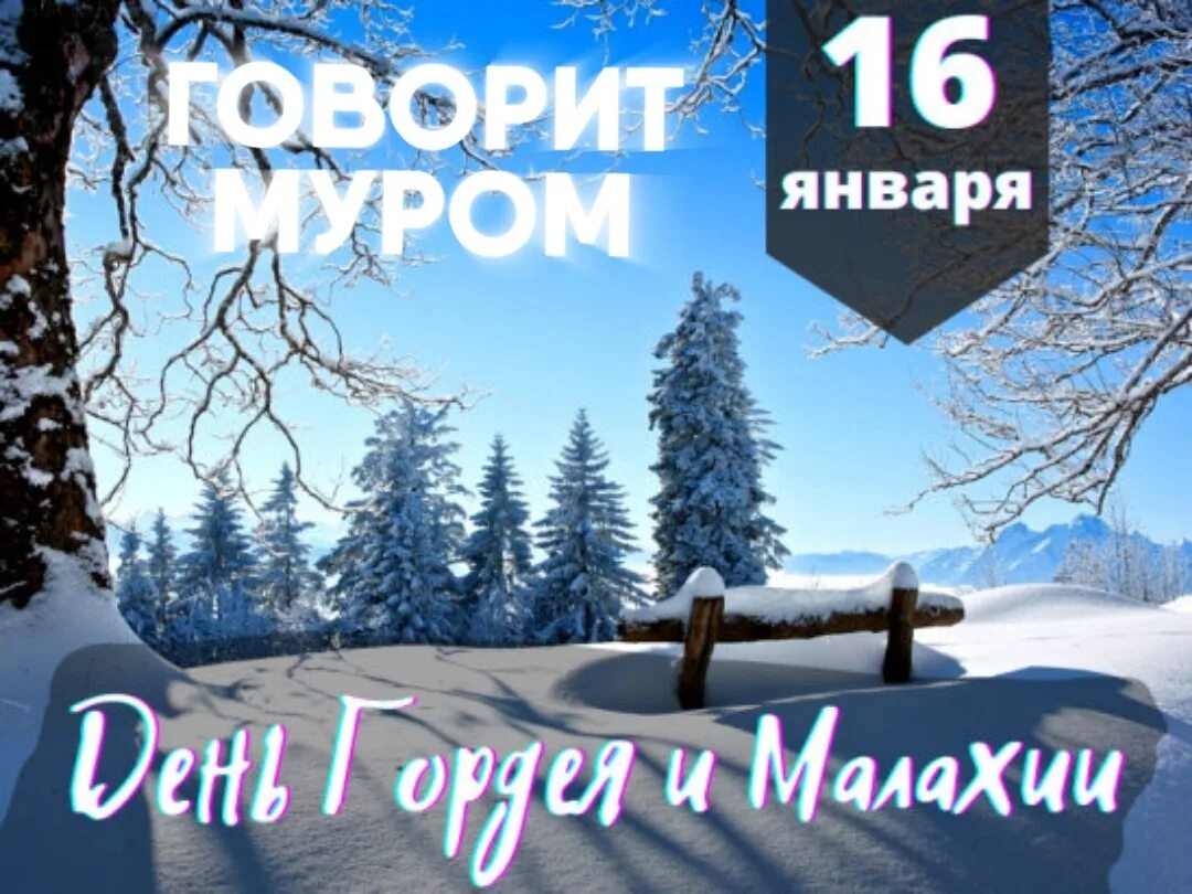 Включай шестнадцать. 16 Января Гордеев день. 16 Января праздник. День ничего 16 января. Картинки к Дню Гордея.