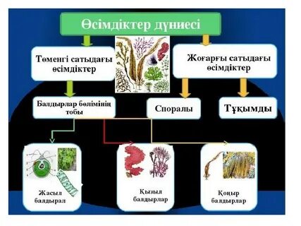 Үлкен порно актрисалардың есімдері