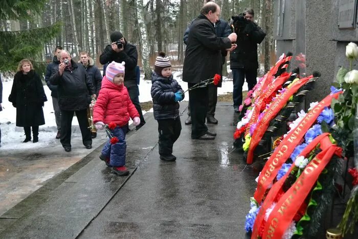 Автобус глебычево выборг. Поселок глебычево выборгского района ленинградской области. глебычево выборг. день поселка глебычево ленинградская область. глебычево 2 выборг.