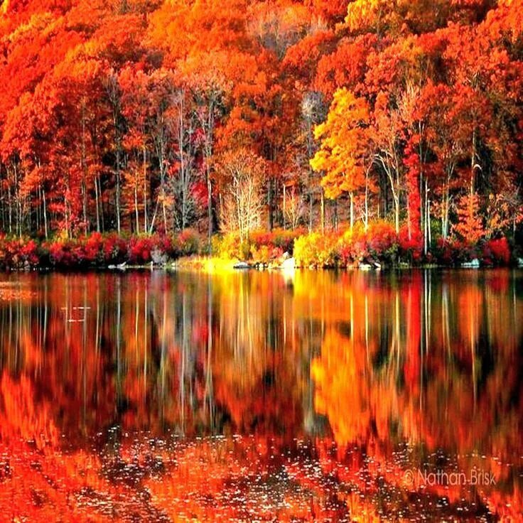 Красивая осень. Осенний пейзаж. Красота осени. Яркая осень.