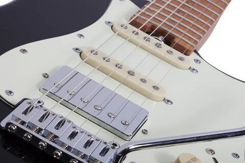 Schecter nick