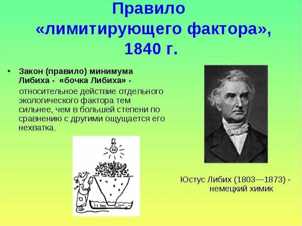 Закон минимума в экологии. Юстус Либих в экологии. Биология бочка Либиха. Правило минимума Либиха. Открытия Либиха.