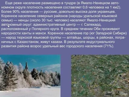 Плотность населения ямало ненецкого