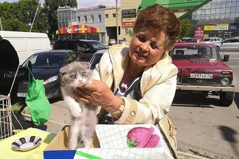 Птичий рынок продать котят
