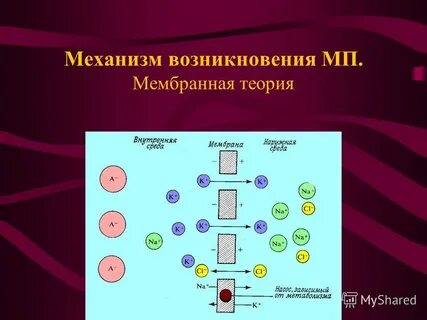 Теория возбуждения