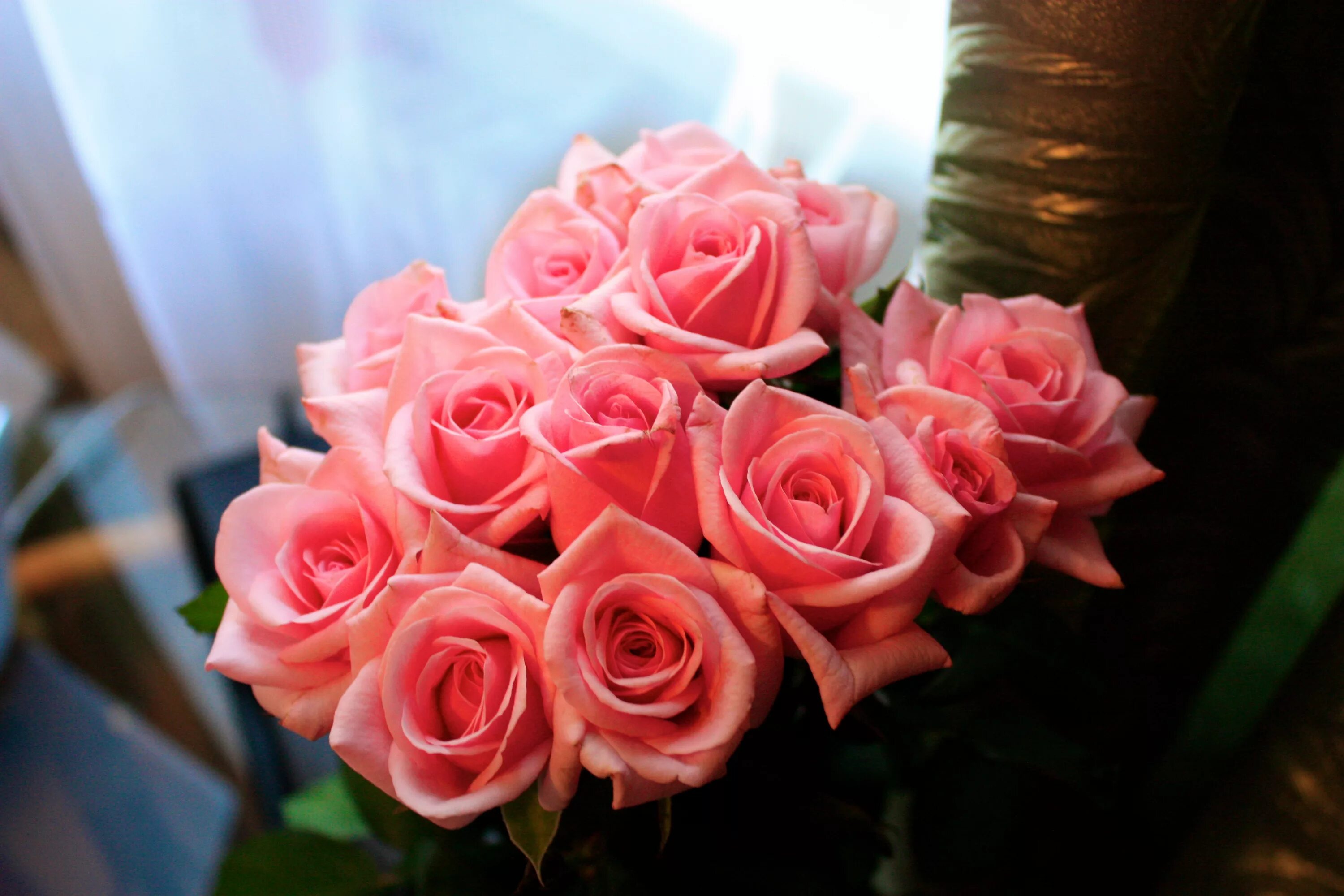 Шикарные цветы. Красивый букет. Красивый букет роз. Розовые розы. Цветы подаренные от души