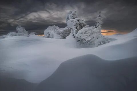 Занесе ое