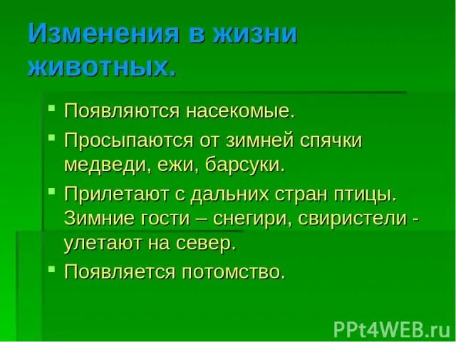 Какие изменения летом. Сезонные изменения в жизни животных. весенние явления в жизни животных. сезонные изменения в жизни животных презентация. сезонные изменения в жизни животных летом.