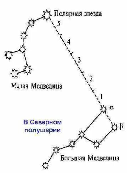 В какой медведице находится полярная звезда. Большая и малая медведица полярная звезда. созвездие малой медведицы зимой.