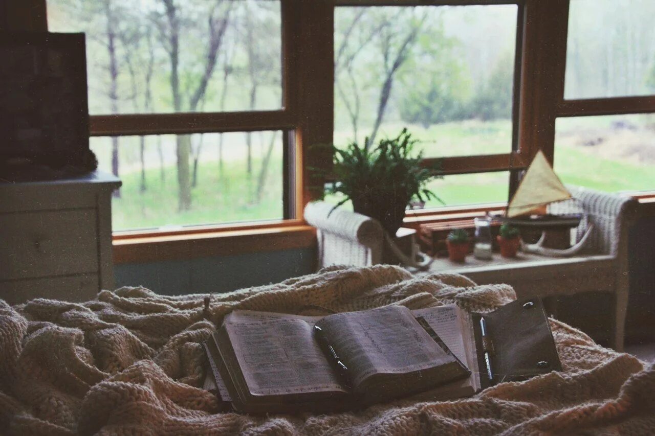 Уютные картинки. Комната с окном уют. Плед осень окно. Теплая уютная природа. Уютное чтение летом.