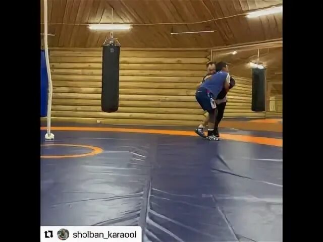 Чедип кел