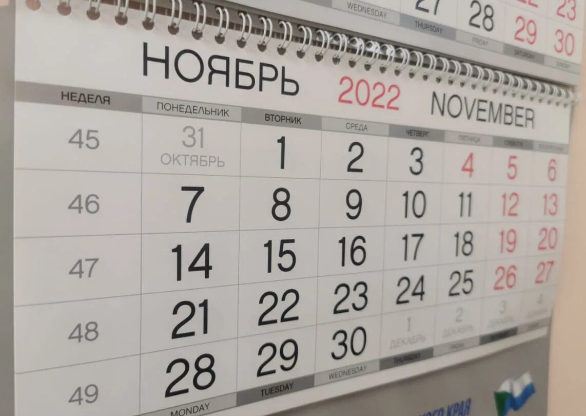 Календарь ноябрь. Ноябрьские праздники 2022. Ноябрьские выходные в этом году. Рабочая неделя в ноябре. Рабочая неделя в россии 2024 в марте