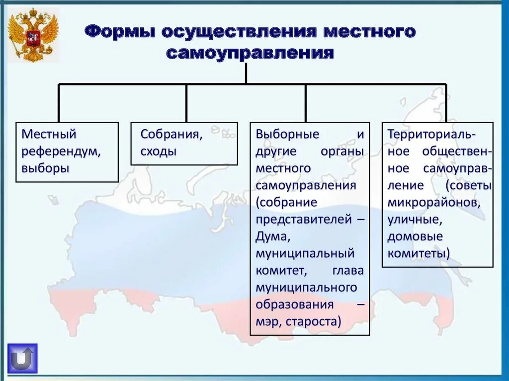 Местные органы власти могут. Формы местного самоуправления в РФ. Формы реализации местного самоуправления в РФ. Формы местного местном самоуправлении в РФ. Формами осуществления местного самоуправления являются.