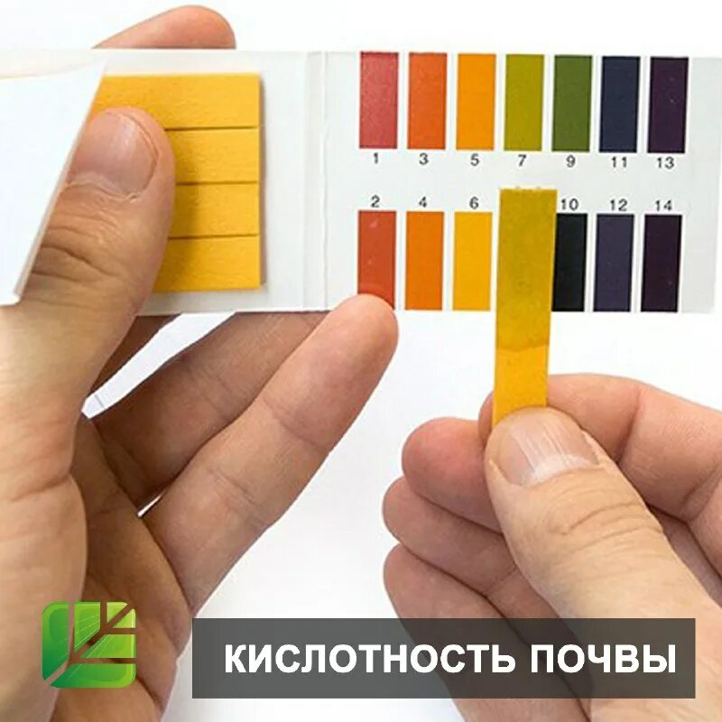 Ph полоски 200ш. Ph шкала кислотности лакмусовая бумага. лакмусовый индикатор кислотности. шкала ph для лакмусовой бумаги. индикаторная бумага лахема универсальная рн 0-12.
