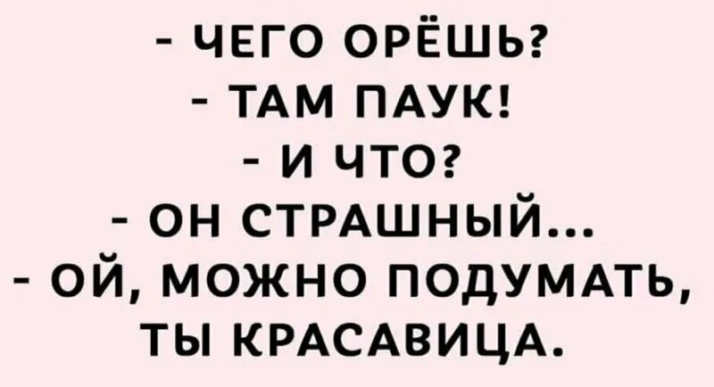 Там закричать. Чего орешь там паук. Ты чего орешь. Ты что орёшь? Там паук. Ты чего орёшь прикол.