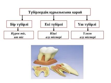 Әжелер аузына кіріп алады