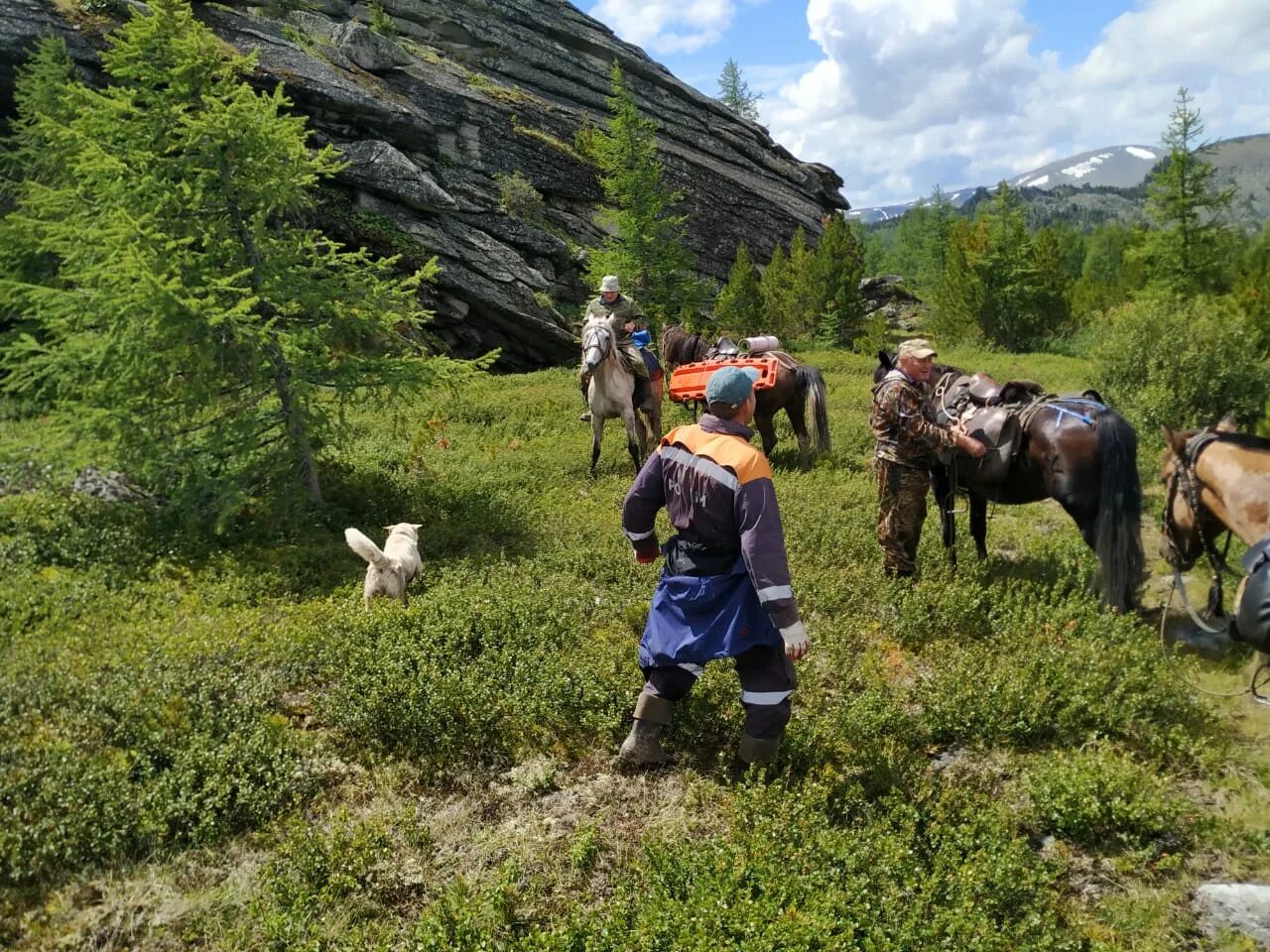 Жизнь в алтайском крае. Солонешное озеро Алтайский. Тог Алтай Солонешенского района. Карагон горный Алтай. Лошади в горах Алтая.