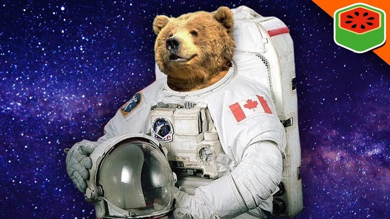 Маша и медведь про космонавтов. Медведь в космосе. Медведь космонавт. Мишка в космосе. Медведь в скафандре.