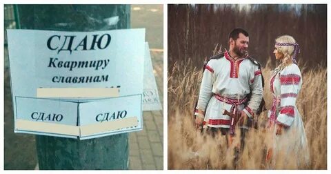 Сдать но