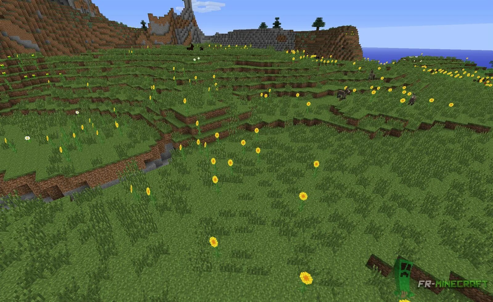 Как найти равнину в майнкрафт. Sunflower plains биом. биом plains майнкрафт. биомы майнкрафта равноны. биом луга в майнкрафт.