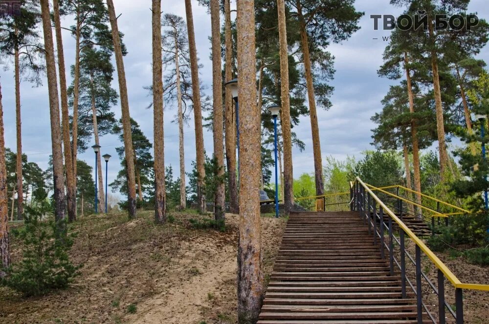 Парк Моховые горы Бор. Нижегородская область, город Бор. Парк «Моховые горы». Моховые горы Нижний Новгород парк. Город Бор парк «Моховые горы».