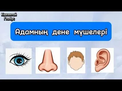 Кішкентай ерін