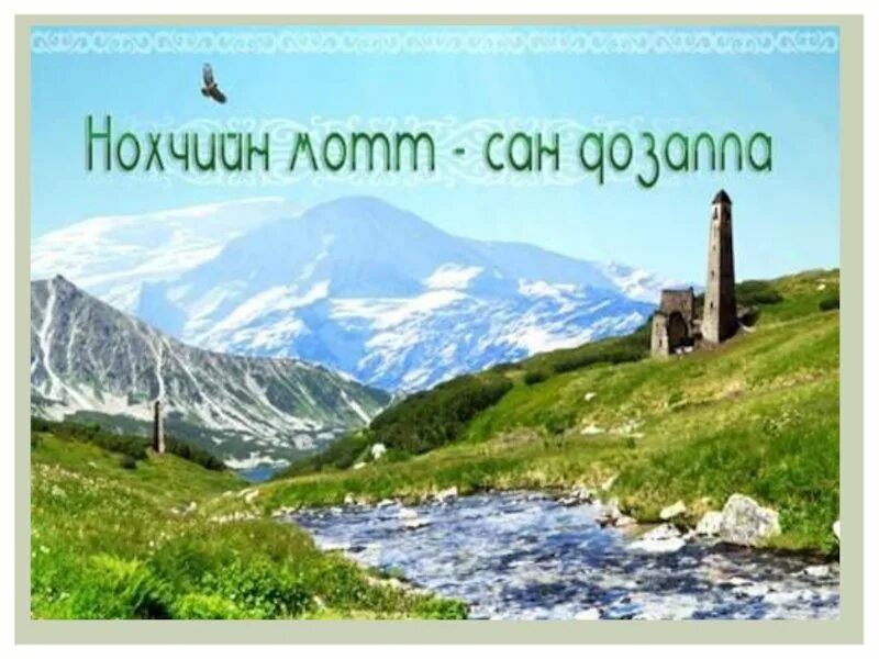 Ненан меттан де. День чеченского языка. День чеченского языка классный час. Рисунки на день чеченского языка.