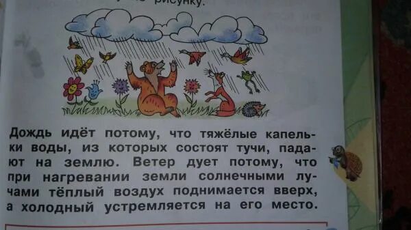 Как растения радуются дождю. Придумать сказку про животных. Выдуманная сказка о животных. Сочинить сказку про животных. Растения и животные радуются дождю.