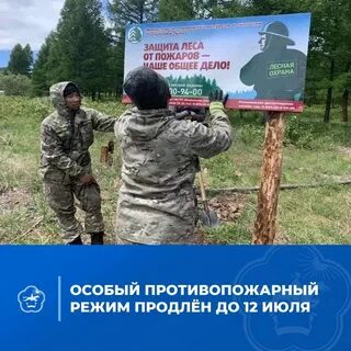 Лесничество тыва