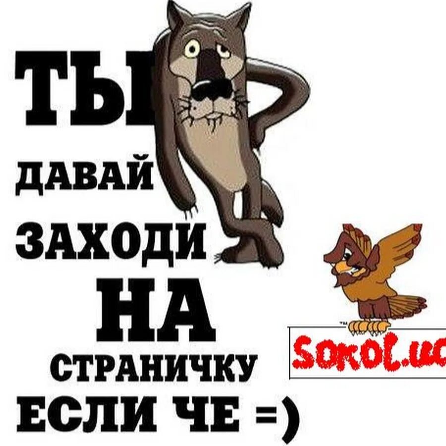 Заходи читай. Давай заходи. Ты заходи если что. Ну если шо заходи. Волк заходи если че.