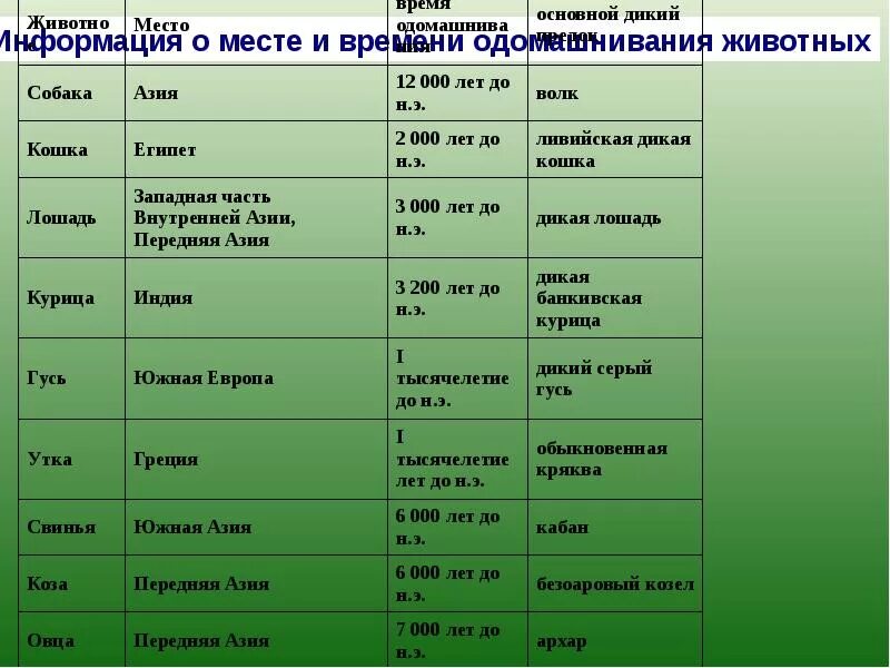 Предки домашних животных таблица. Одомашнивание животных таблица. Центры одомашнивания животных таблица. Таблица одомашнивания животных и растений. Когда начался процесс одомашнивания растений