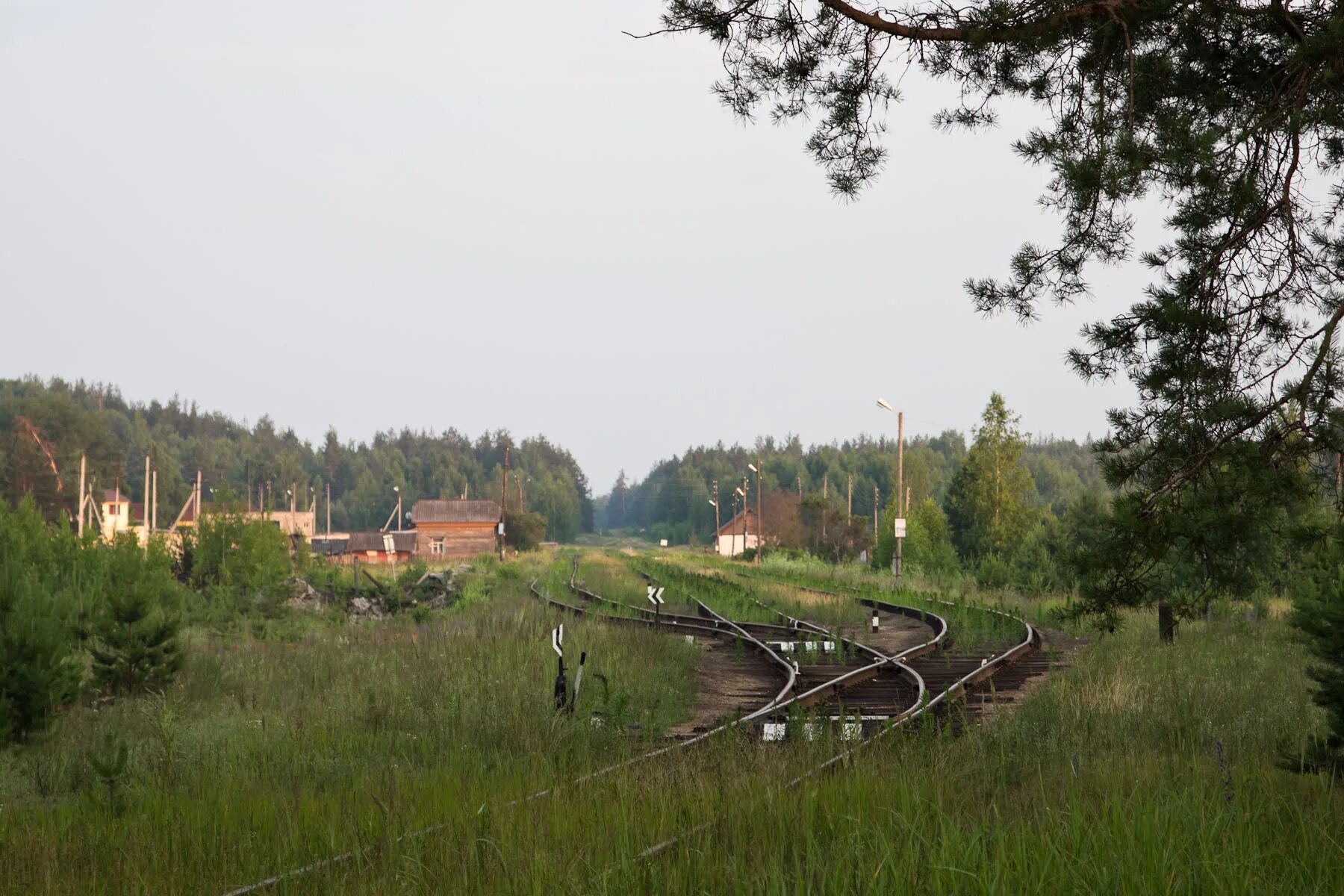Горьковская область поселок. Поселок димара нижегородская область. Горьковская область поселок. Ветлужский р-н с. Посёлок фролищи нижегородская область.