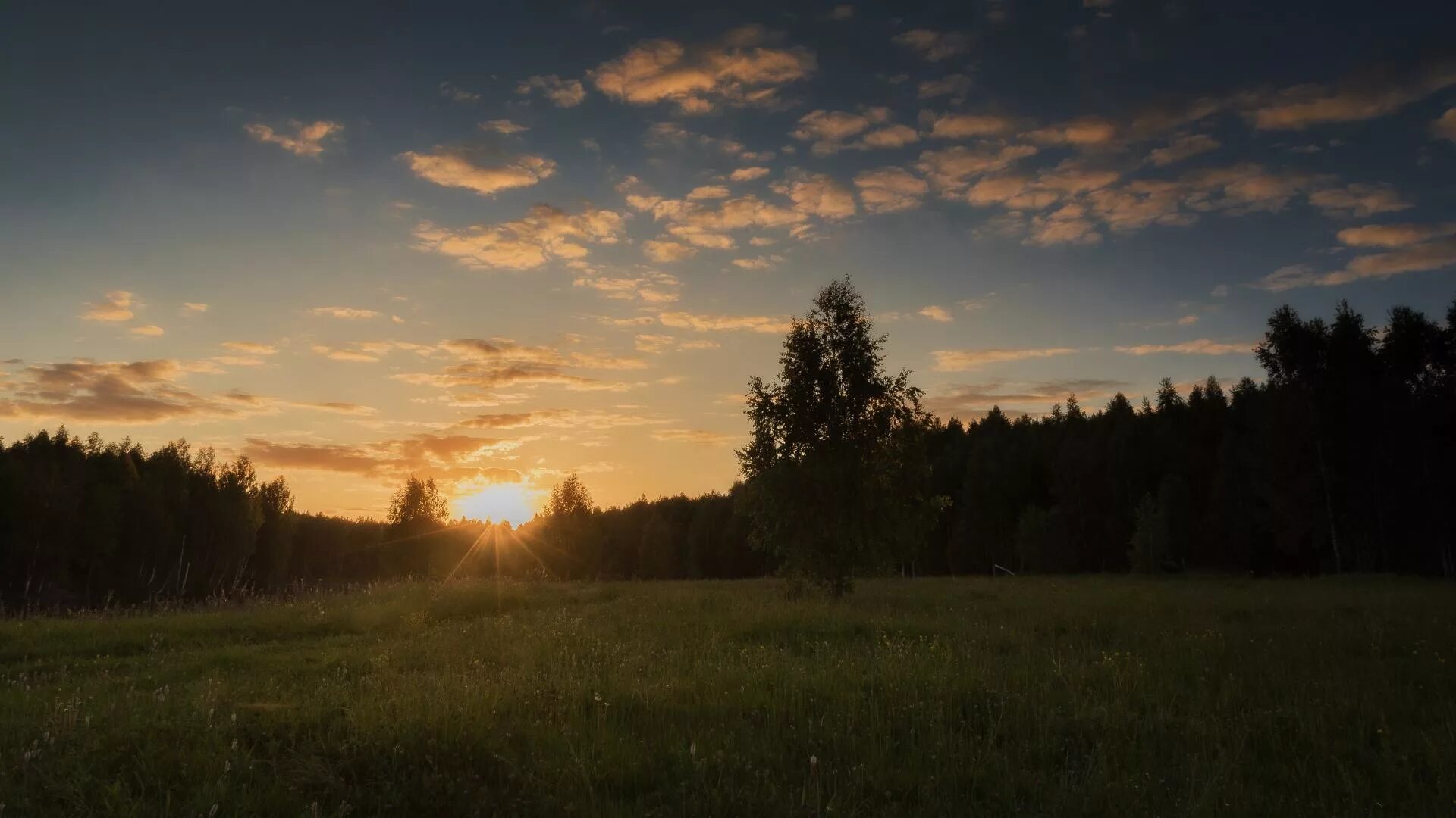 Вдали лесной. Лес вдали. Закат в лесу. Лес далеко. Лес вдали закат.