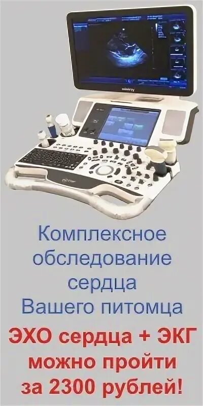 еремин жулебино