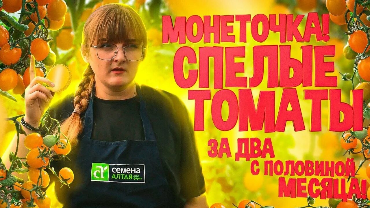 Помидоры сорт монеточка. Семена томат монеточка семена алтая. Черри монетка. Черри желтые сорта f1. Томат черри ожерелье желтое.