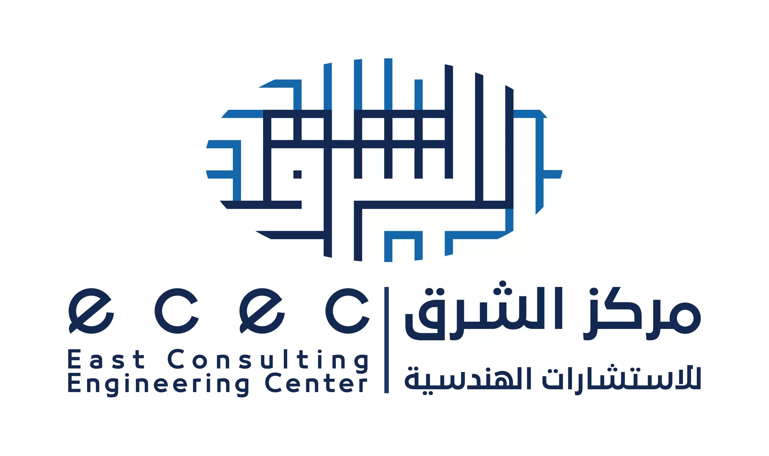 E consulting