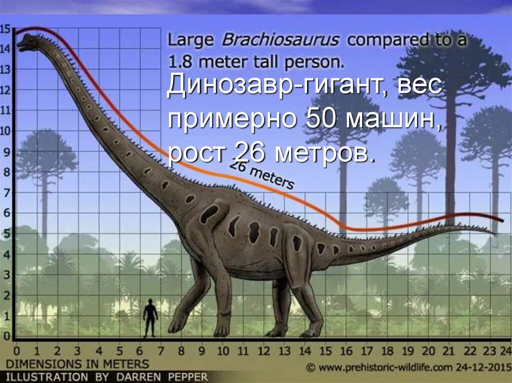 Сравнение динозавров. Динозавр Брахиозавр рост. Брахиозавр и Диплодок. Юрский период Брахиозавр. Диплодок динозавр вес и рост.