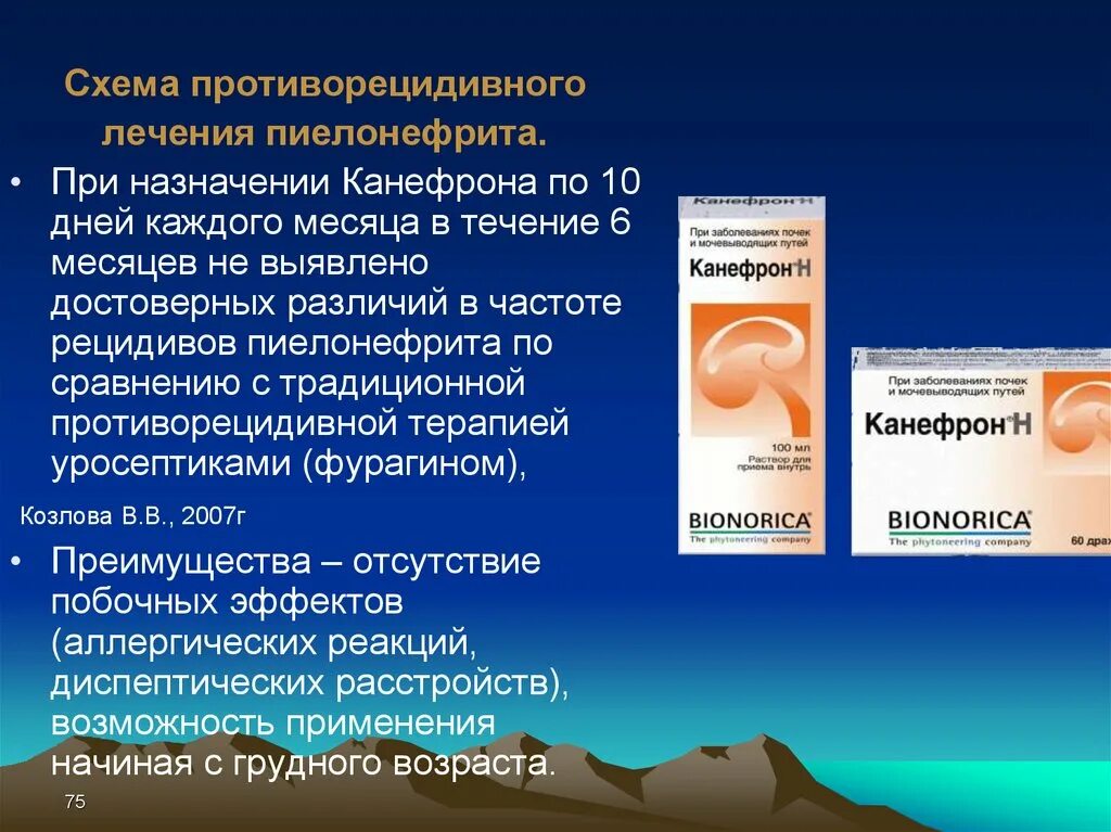 5 нок или канефрон. Канефрон при пиелонефрите. канефрон презентация. противорецидивная терапия пиелонефрита. канефрон схема.