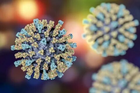 Возбудитель инфекции кори