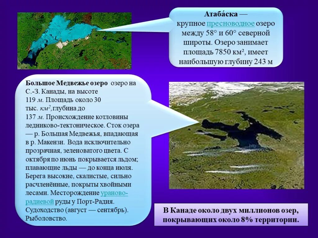 Происхождение озера Атабаска. Атабаска озеро в Северной Америке. Медвежье озеро Северная Америка. Большое Медвежье озеро сообщение. Озеро атабаска северная америка