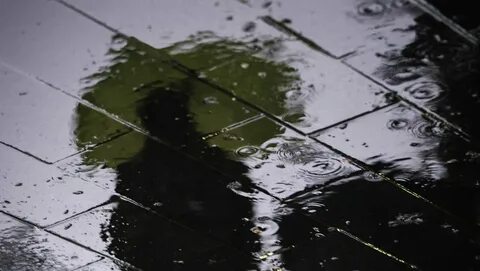Дожди в течение всего года