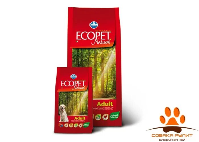 Farmina Ecopet natural Adult Medium сухой корм для собак 12 кг. Фармина корм для собак 12 кг +3. Корм для собак Фармина 15 кг. Корм для собак Фармина в магазине Бетховен.