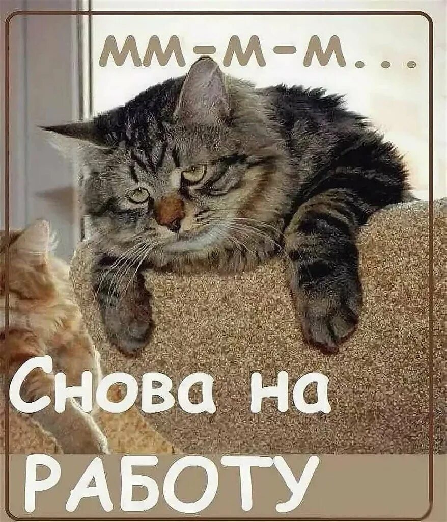 Завтра на работу картинки. Ура на работу прикольные. Ура понедельник картинки. Скорей бы понедельник и опять на работу. Ура на работу прикольные.